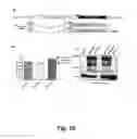 Fig. 12 - Methods and compositions for chimeric coronavirus spike proteins