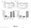 Fig. 13 - Methods and compositions for chimeric coronavirus spike proteins