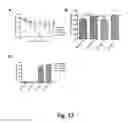 Fig. 14 - Methods and compositions for chimeric coronavirus spike proteins