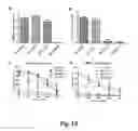 Fig. 15 - Methods and compositions for chimeric coronavirus spike proteins