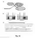 Fig. 16 - Methods and compositions for chimeric coronavirus spike proteins