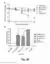 Fig. 20 - Methods and compositions for chimeric coronavirus spike proteins