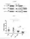 Fig. 07 - ANTI-INFLAMMATORY COMPOUNDS AND METHODS OF USE