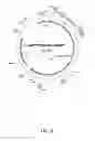 Fig. 05 - CyaA-based chimeric proteins comprising a heterologous polypeptide and their uses in the induction of immune responses