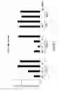 Fig. 13 - HTT repressors and uses thereof