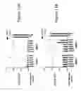 Fig. 15 - HTT repressors and uses thereof