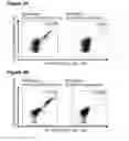 Fig. 22 - Peptides and combination of peptides for use in immunotherapy against small cell lung cancer and other cancers