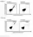 Fig. 23 - Peptides and combination of peptides for use in immunotherapy against small cell lung cancer and other cancers
