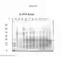 Fig. 06 - Nucleic acids encoding modified FGF-21 polypeptides comprising non-naturally occurring amino acids