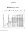 Fig. 07 - Nucleic acids encoding modified FGF-21 polypeptides comprising non-naturally occurring amino acids