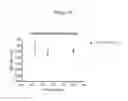 Fig. 19 - Nucleic acids encoding modified FGF-21 polypeptides comprising non-naturally occurring amino acids