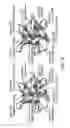 Fig. 19 - Fibroblast growth factor mutants having improved functional half-life and methods of their use