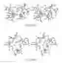 Fig. 22 - Fibroblast growth factor mutants having improved functional half-life and methods of their use