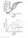 Fig. 10 - Fibroblast growth factor mutants having improved functional half-life and methods of their use