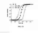 Fig. 11 - Fibroblast growth factor mutants having improved functional half-life and methods of their use