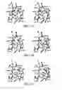 Fig. 12 - Fibroblast growth factor mutants having improved functional half-life and methods of their use
