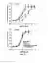 Fig. 23 - Fibroblast growth factor mutants having improved functional half-life and methods of their use