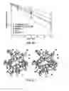 Fig. 27 - Fibroblast growth factor mutants having improved functional half-life and methods of their use