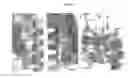 Fig. 28 - Peptide pharmaceuticals for insulin resistance