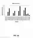 Fig. 03 - HUMAN PLACENTAL COLLAGEN COMPOSITIONS, AND METHODS OF MAKING AND USING THE SAME