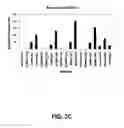 Fig. 05 - HUMAN PLACENTAL COLLAGEN COMPOSITIONS, AND METHODS OF MAKING AND USING THE SAME