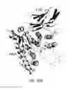 Fig. 08 - Single domain binding molecule