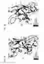 Fig. 11 - Optimized variants of anti-VEGF antibodies and methods of treatment thereof by reducing or inhibiting angiogenesis