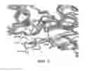Fig. 06 - ANTIBODY VARIANTS