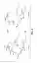 Fig. 07 - ANTIBODY VARIANTS