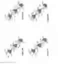 Fig. 05 - BISPECIFIC T CELL ACTIVATING ANTIGEN BINDING MOLECULES