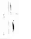 Fig. 12 - BISPECIFIC T CELL ACTIVATING ANTIGEN BINDING MOLECULES