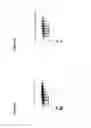 Fig. 13 - BISPECIFIC T CELL ACTIVATING ANTIGEN BINDING MOLECULES