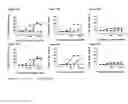 Fig. 24 - BISPECIFIC T CELL ACTIVATING ANTIGEN BINDING MOLECULES