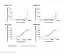 Fig. 30 - BISPECIFIC T CELL ACTIVATING ANTIGEN BINDING MOLECULES