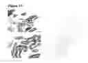 Fig. 06 - Antibodies specifically binding to HER3