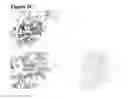 Fig. 08 - Antibodies specifically binding to HER3