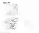 Fig. 09 - Antibodies specifically binding to HER3