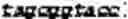 Fig. 24 - Nucleic acids encoding activatable antibodies that bind epidermal growth factor receptor