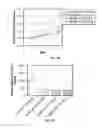 Fig. 03 - Anti human Notch4 antibody