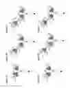 Fig. 02 - BISPECIFIC T CELL ACTIVATING ANTIGEN BINDING MOLECULES