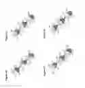 Fig. 05 - BISPECIFIC T CELL ACTIVATING ANTIGEN BINDING MOLECULES