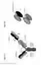 Fig. 07 - BISPECIFIC T CELL ACTIVATING ANTIGEN BINDING MOLECULES