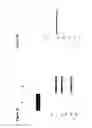 Fig. 13 - BISPECIFIC T CELL ACTIVATING ANTIGEN BINDING MOLECULES