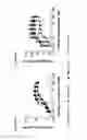Fig. 17 - BISPECIFIC T CELL ACTIVATING ANTIGEN BINDING MOLECULES