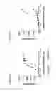 Fig. 21 - BISPECIFIC T CELL ACTIVATING ANTIGEN BINDING MOLECULES
