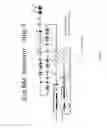 Fig. 13 - Animal models and therapeutic molecules