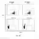 Fig. 61 - Animal models and therapeutic molecules