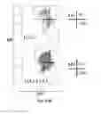 Fig. 69 - Animal models and therapeutic molecules