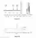 Fig. 06 - Site-selective modification of polysaccharides and applications thereof