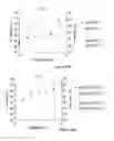 Fig. 13 - Site-selective modification of polysaccharides and applications thereof